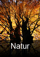 Natur