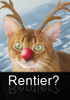 Rentier basteln