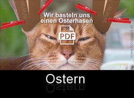 Osterkatze